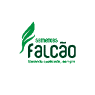 Sementes Falcão